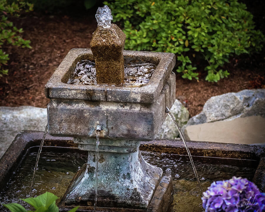 Source of Water Flow Photograph by D Lee