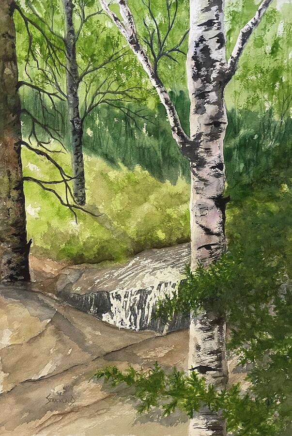 South Fork of Buffalo Creek Painting by Judy Strickland