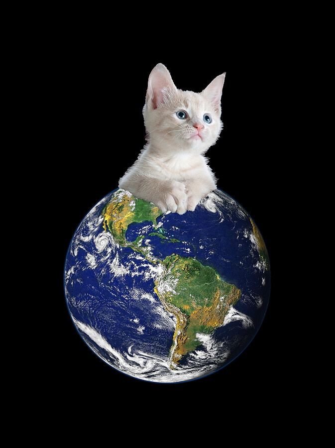 Space Kitten Ruler of Earth Funny Digital Art by Flippin Sweet Gear