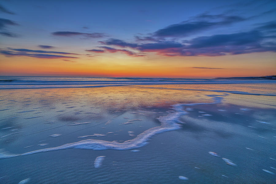 Speechless Photograph by Penny Polakoff