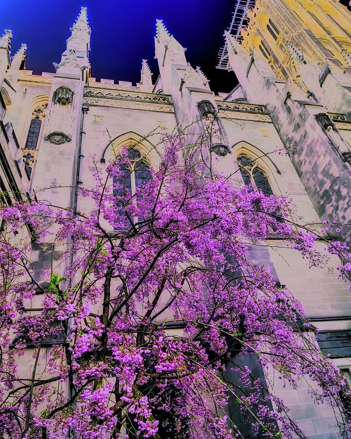 Spring a the DC National Cathedral Digital Art by Bruce Block