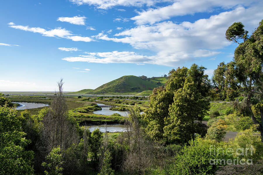 Spring at the Bay Photograph by Helo Art
