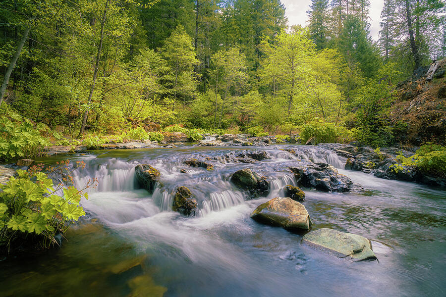 Spring on Squaw Valley Creek - Siskiyou County California Photograph by Mike Lee