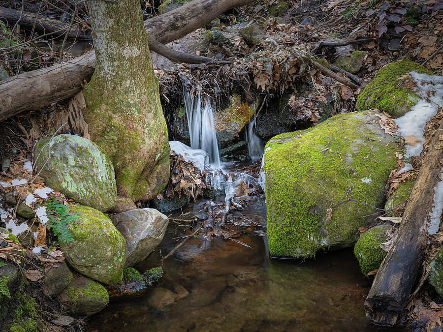 Spring Thaw Photograph by Dave King