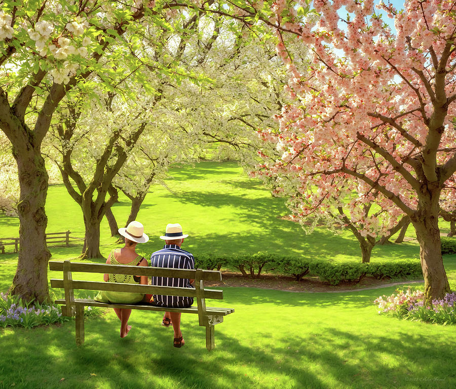 Spring - The age of retirement by Mike Savad