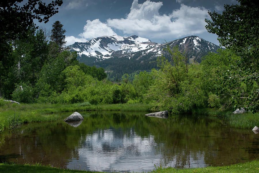 Springtime in Mammoth Lakes, CA Photograph by Bonnie Colgan