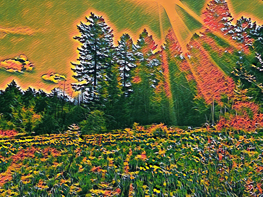 Sprinkling Spring 1 by Ludus And Lucidus