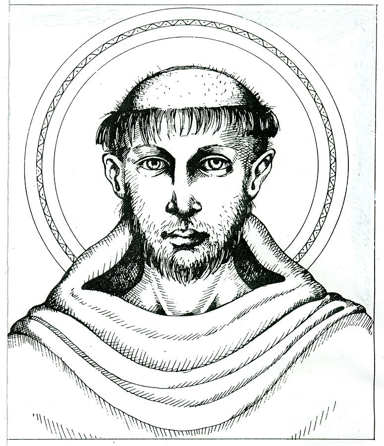 St Francis Drawing by William Hart McNichols