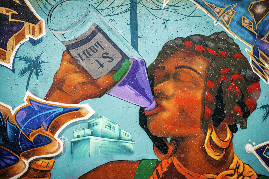 St. Louis - Mural Mile Photograph by Robert Niemeier