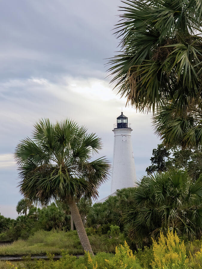 St Marks Lighthouse Photograph by Gina Fitzhugh