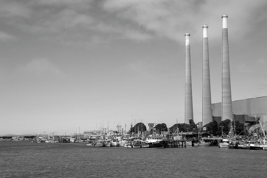 Stacks in the Bay Photograph by Gina Cinardo