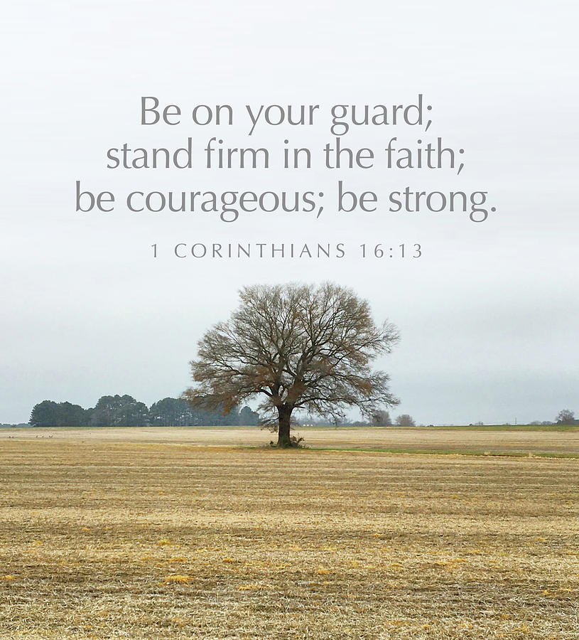 Stand Firm Photograph by Greg Lane