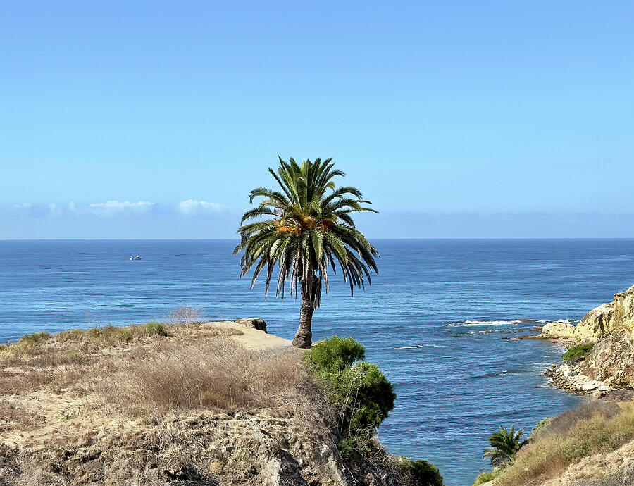 Standing Up Photograph by Joe Schofield