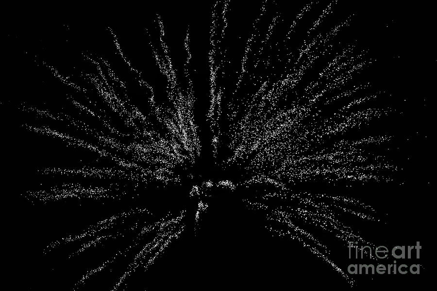 Stardust within Us Photograph by Debra Banks