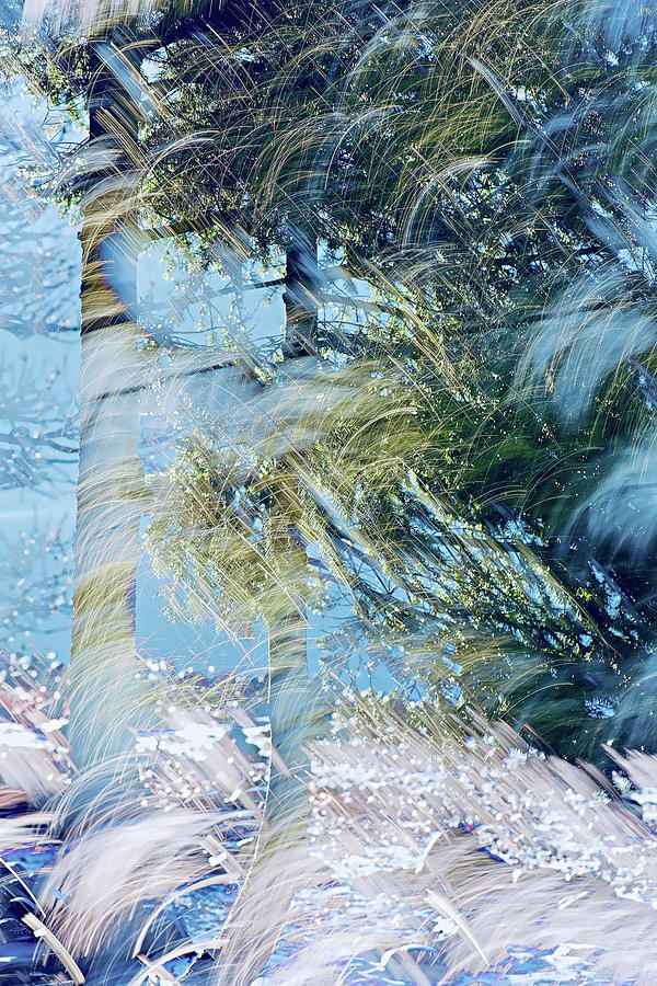 Start of Winter Photograph by Ursula Abresch