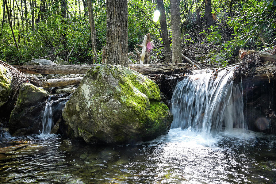 Stony Fork Photograph by Steven Nelson