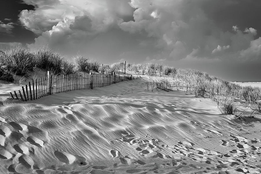 Stormy Dunes Photograph by Steven Nelson