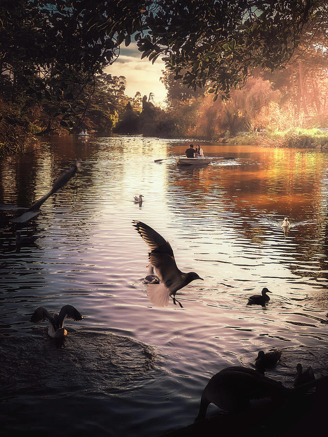 Stow Lake Photograph by Louis Raphael