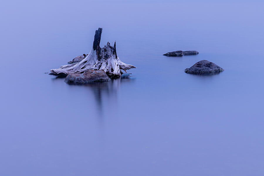 Stump and Stones Photograph by Mike Lee