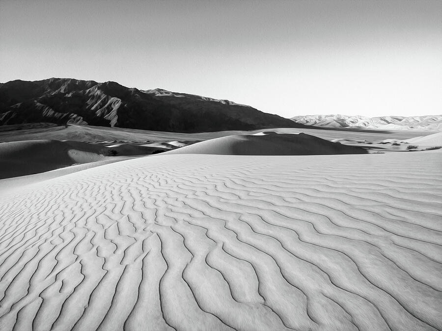 Sueno Con Las Dunas Photograph by Joe Schofield