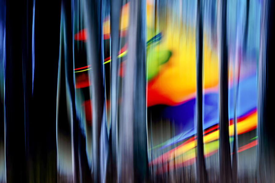 Summer Dreams Photograph by Ursula Abresch