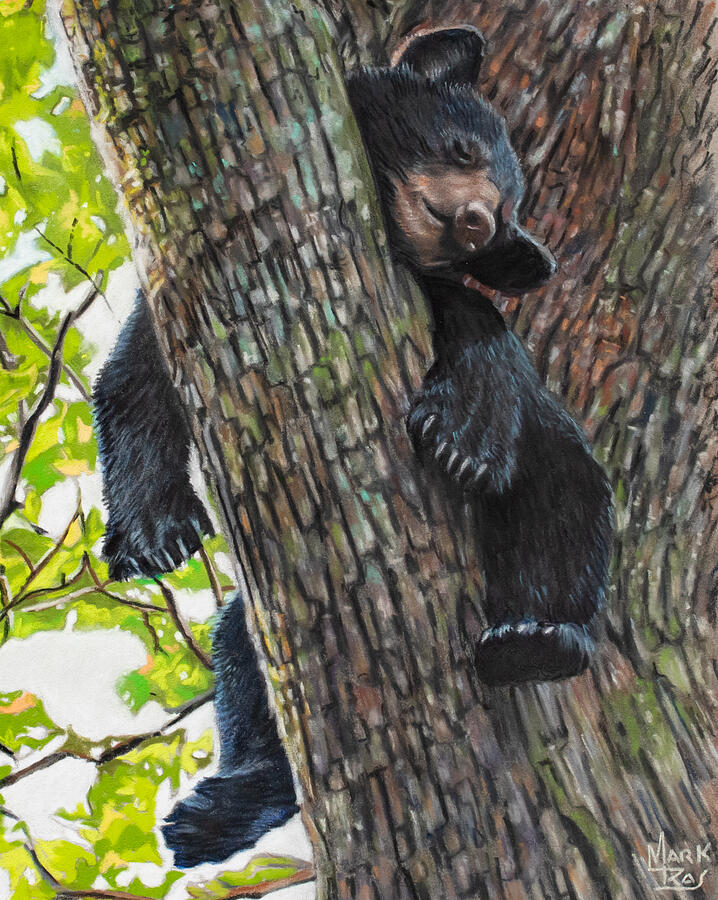 Summer Slumber Pastel by Mark Ray