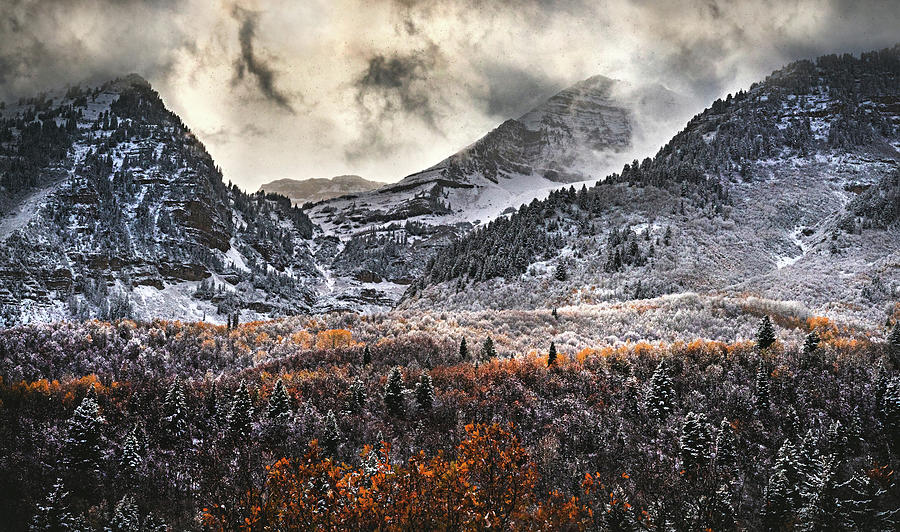 Sundance Autumn Snowfall 2, Utah Photograph by Abbie Warnock