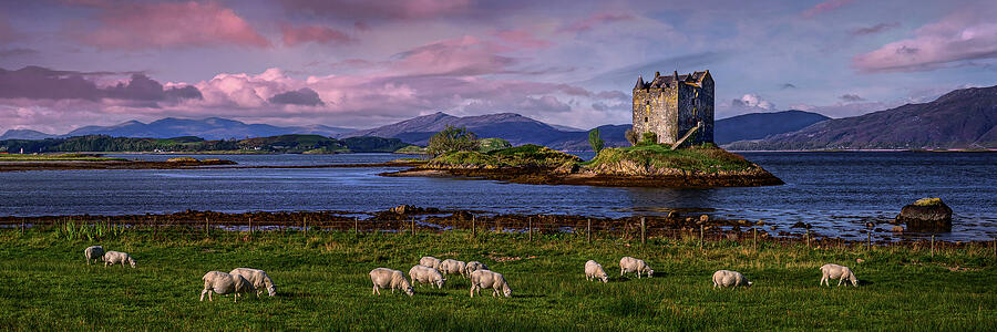 Castle on Loch in Scotland Photograph - Sunrise on Loch Laich by Maryanne Keeling