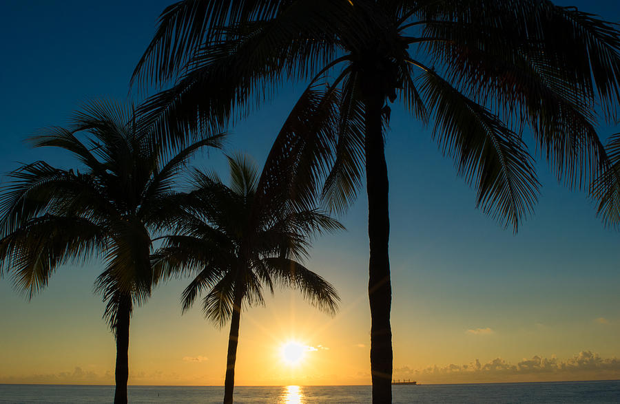Sunrise over Fort Lauderdale Photograph by Michael Warren