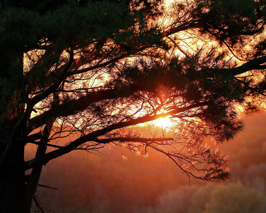 Sunrise Photograph by Robert Allen Hill