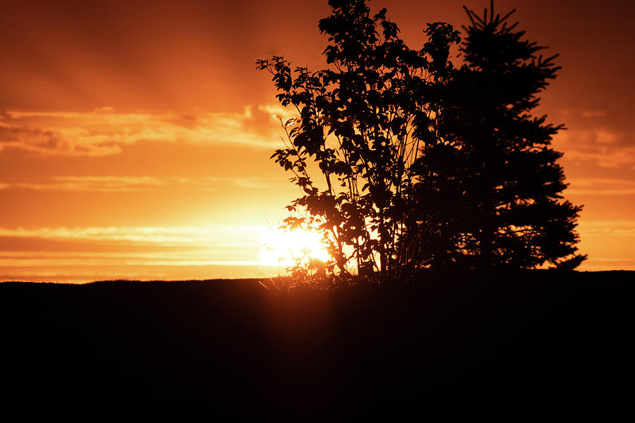 Sunrise Silhouette Photograph by Amanda Lorance