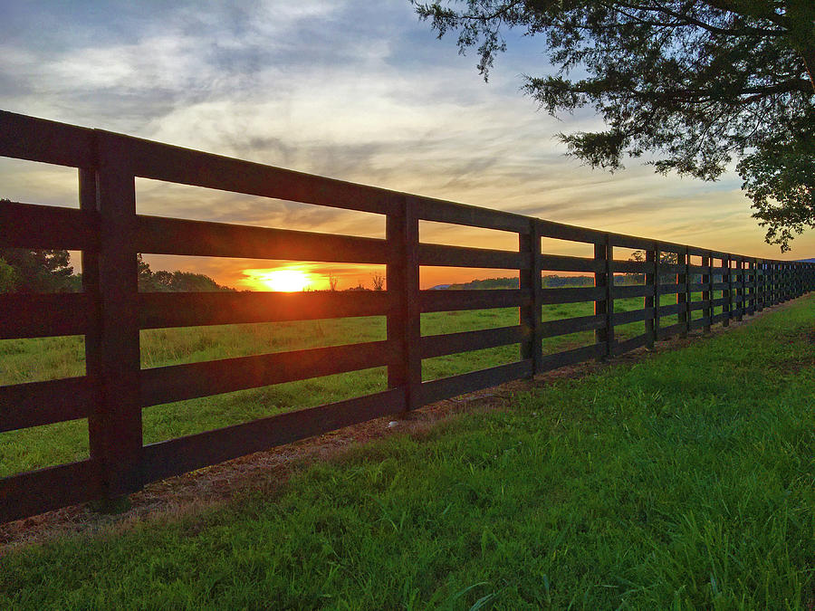 Sunrise Through the Fenceposts Photograph by Greg Lane
