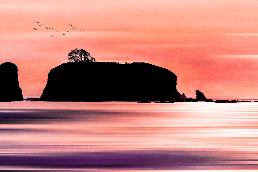 Sunset at Rialto Beach Photograph by Shannon Williams