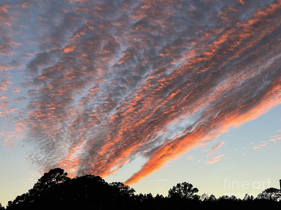 Sunset Burst Photograph by Catherine Wilson