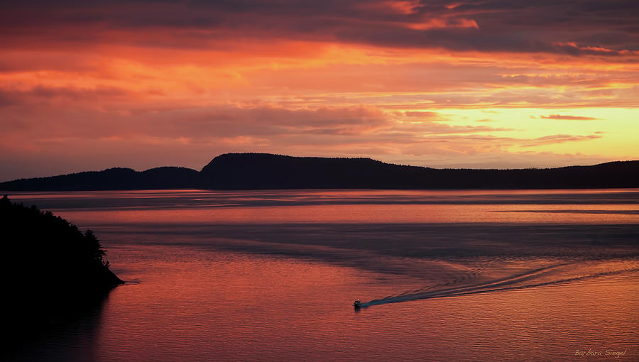 Sunset Glow Photograph by Barbara Siegel