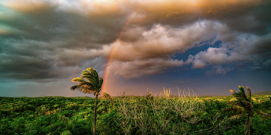 Sunset Rainbow in the East Mazatlan Mexico Photograph by Tommy Farnsworth