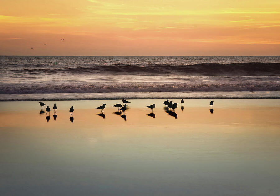 Sunset Reflections at Praia da Rocha Photograph by Rebecca Herranen