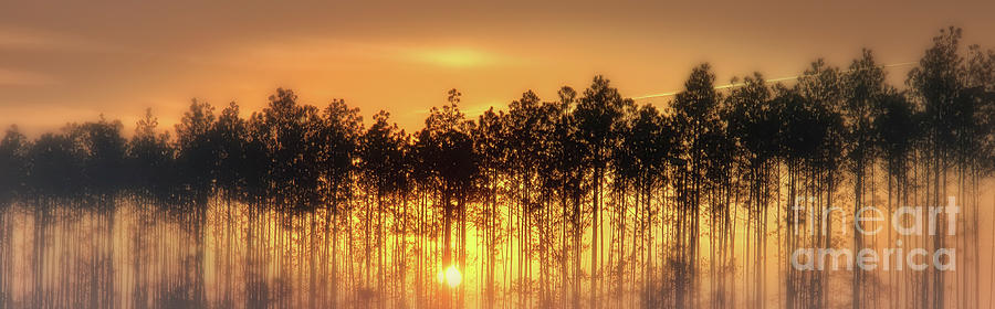 Sunset State Of Mind Photograph by Mary Lou Chmura