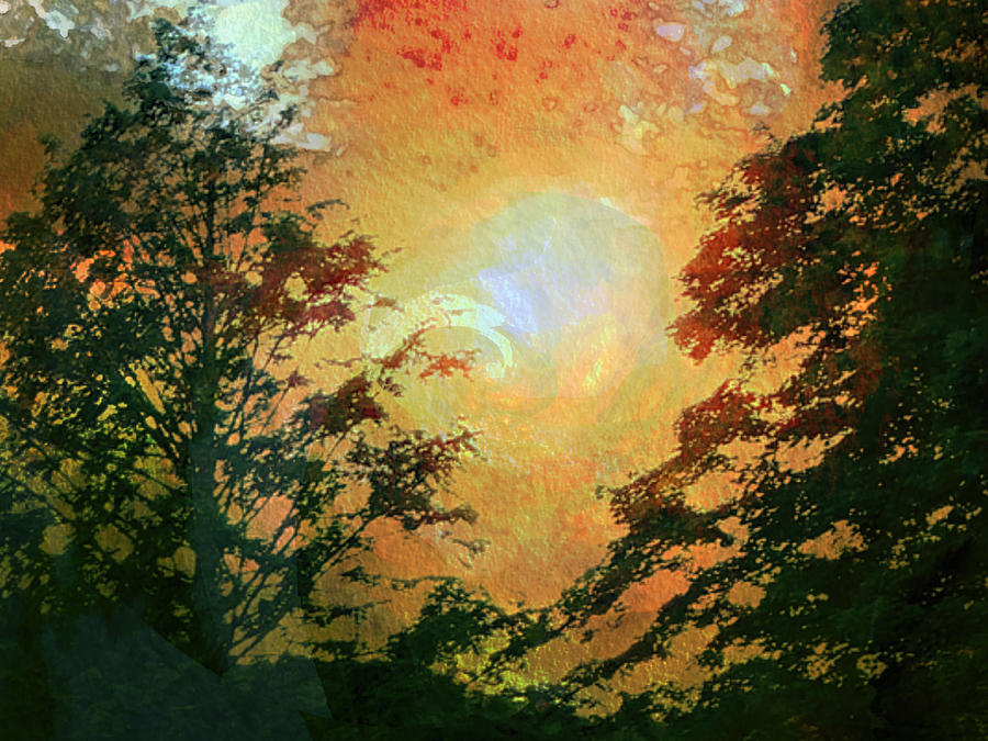 Sunset Vortex Photograph by Carol Whaley Addassi
