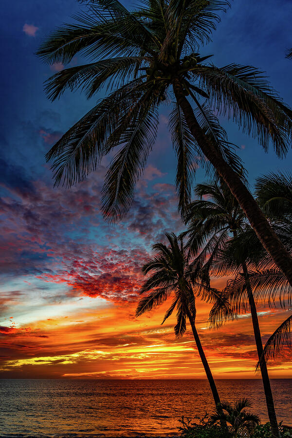 Sunsets Mazatlan Sinaloa Mexico Photograph by Tommy Farnsworth