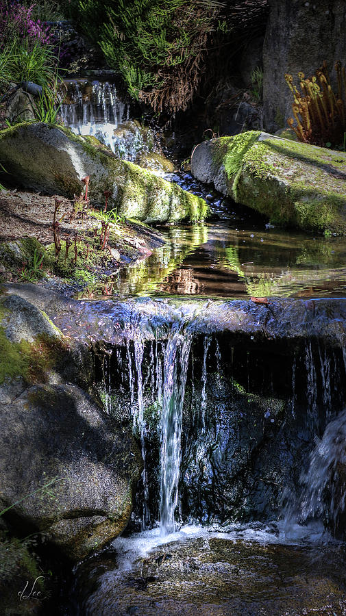 Sunshine on the Waterfall Photograph by D Lee