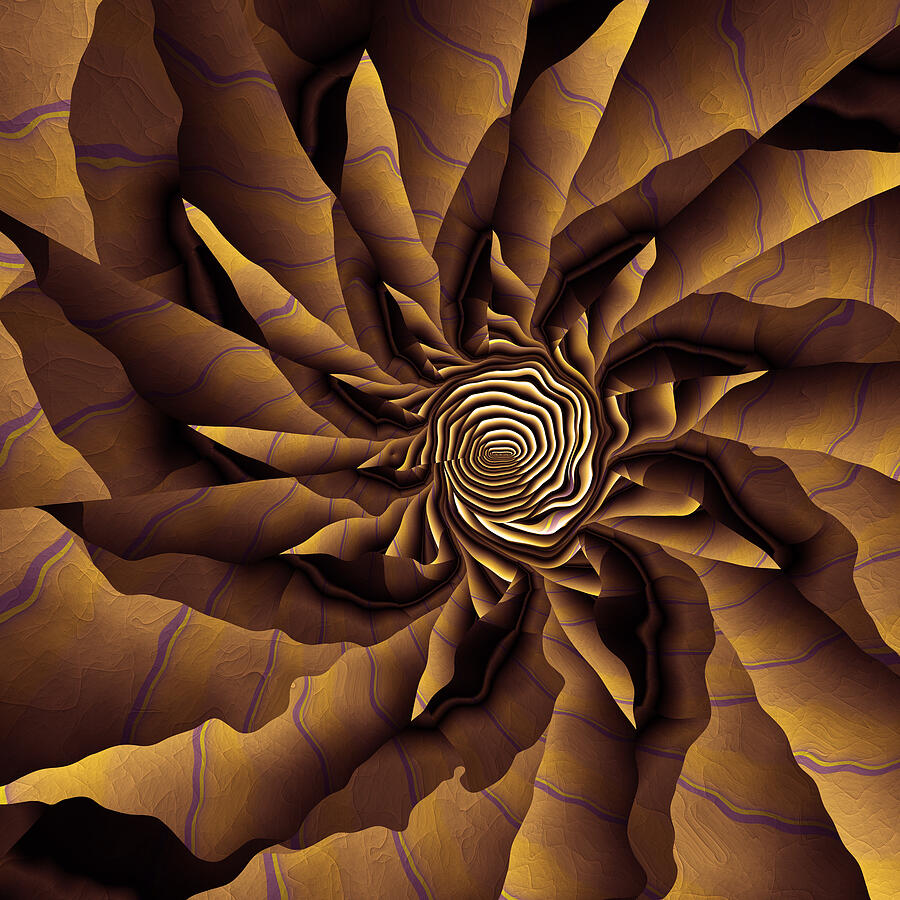 Twisting Geometric Spiral Design Digital Art - Surrounded by Vic Eberly