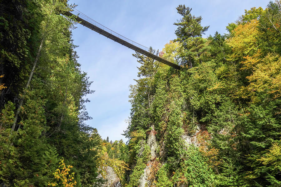 Suspension Bridge over Saint Anne's Canyon, Quebec by John Twynam