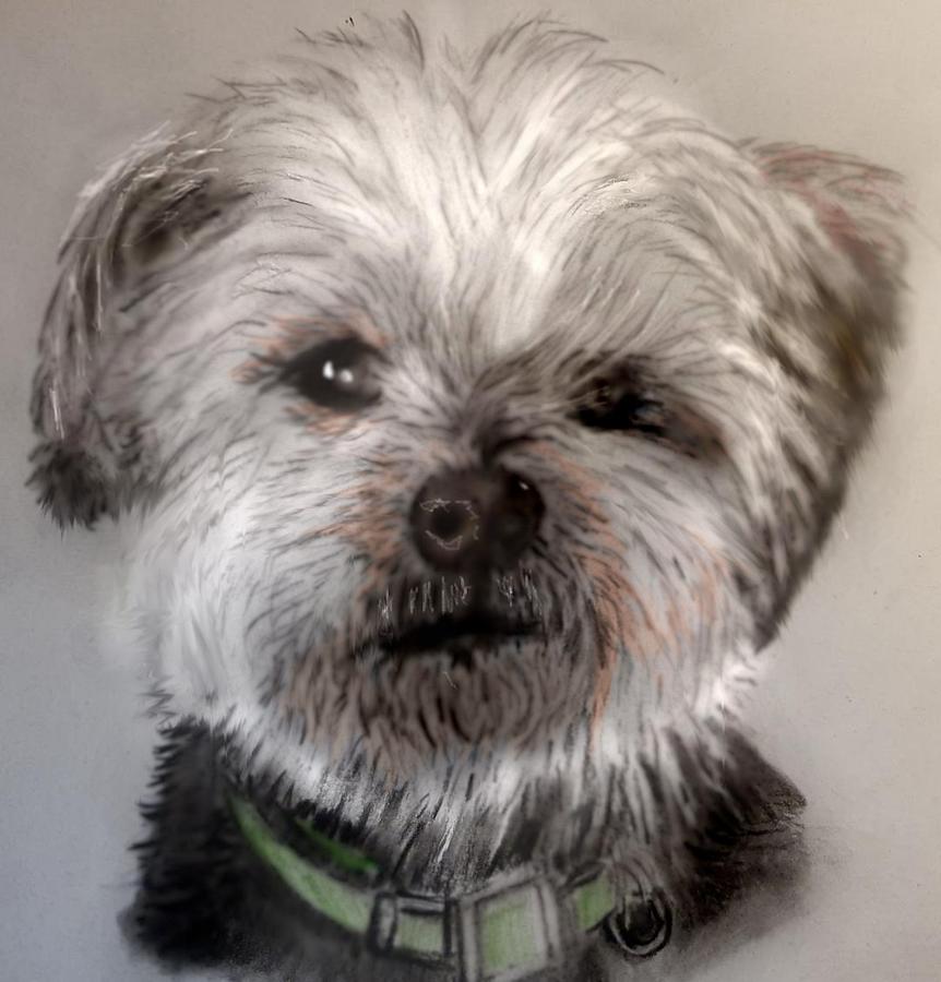 Sweet face Mixed Media by Pamela Calhoun