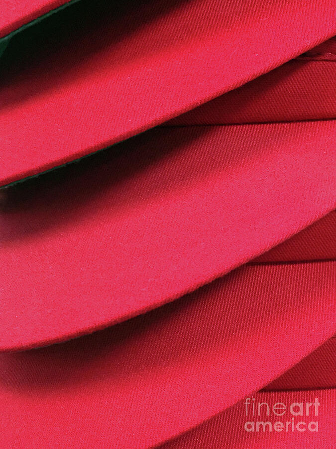 Swooshes and Shadows Photograph by Rick Locke - Out of the Corner of My Eye