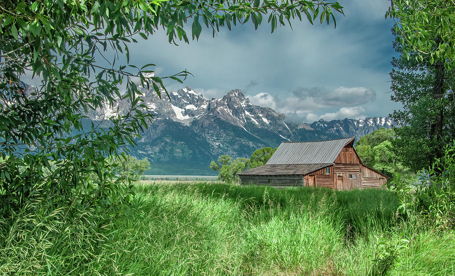 T A Moulton Barn, Grand Tetons Photograph by Marcy Wielfaert