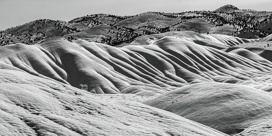 Tabula Rasa Photograph by Tim Lyden