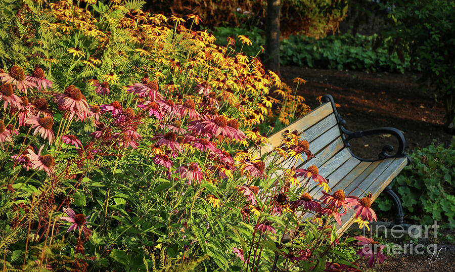 Take a Seat Photograph by D Lee