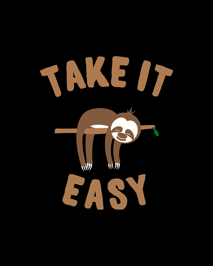 Take It Easy Sloth Digital Art by Flippin Sweet Gear