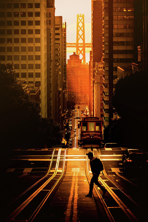 Taking a Stroll Photograph by Louis Raphael